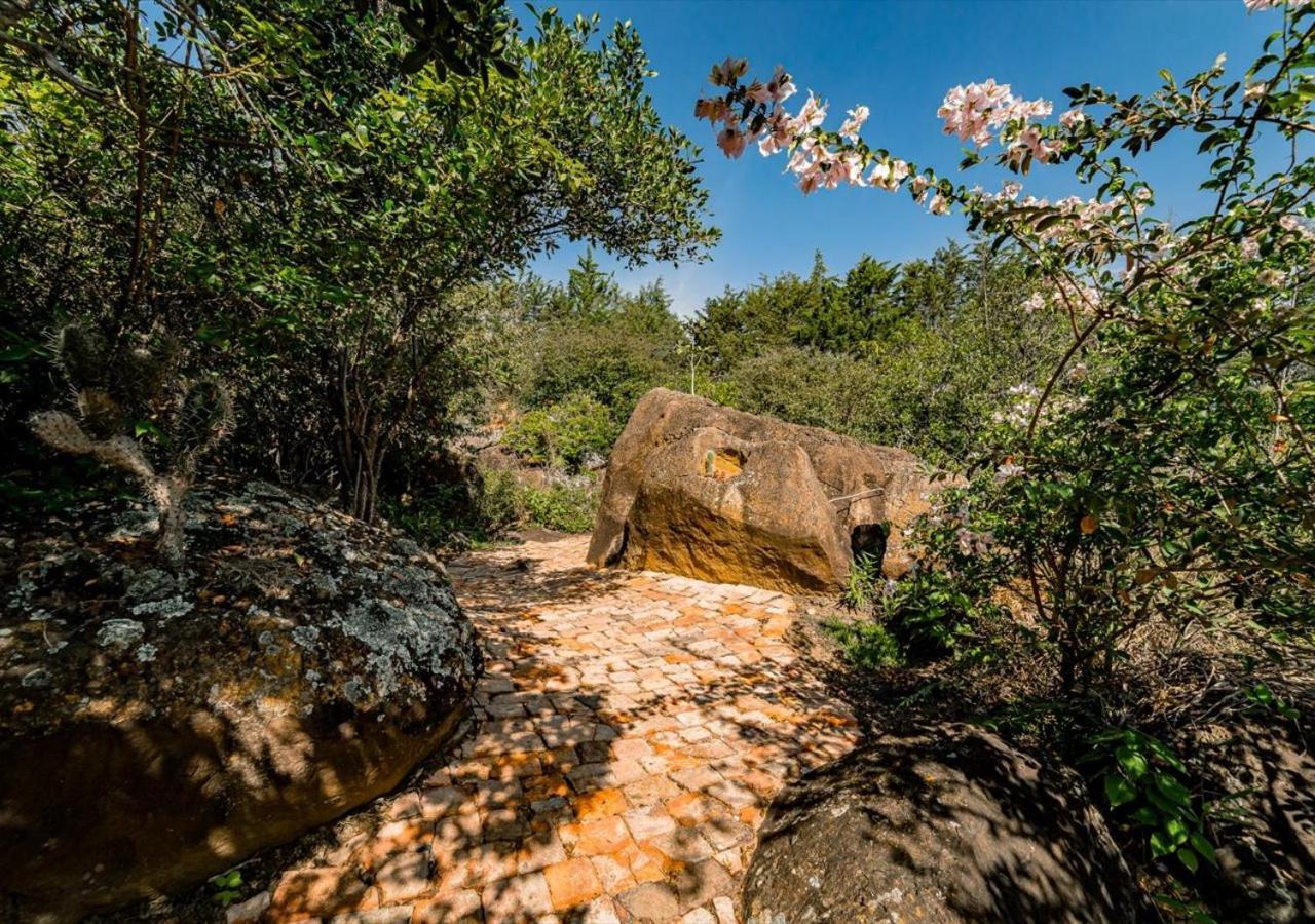El Hayuelo Ecolodge Вилья-де-Лейва Экстерьер фото
